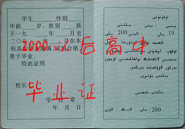 新疆維吾爾自治區阿克蘇2000年高中畢業證內芯