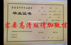 青海2004年中專畢業證版本_青海省中專畢業證樣本