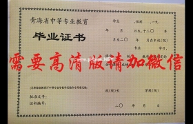 青海2010年中專畢業證樣本_青海省中專畢業證樣本